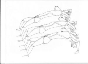 Dessin de philousage: Le pont