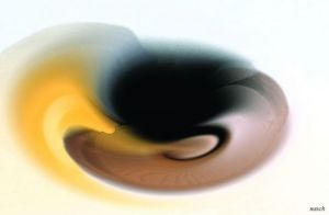 Art_numerique de nasch: coquillage