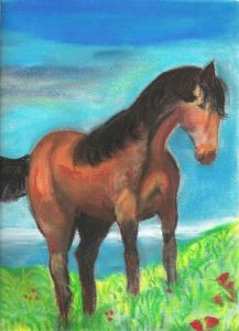 Illustration de CORINA: HIDALGO