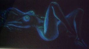 Peinture de Noelle Prely: Nu allonge