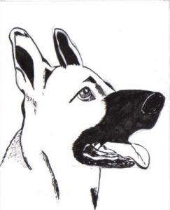 Dessin de valerie: Un chien en or