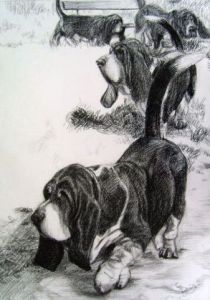 Dessin de Djoz: Balade du dimanche