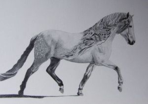 Dessin de Karine Penvern-Deruelle: Cheval