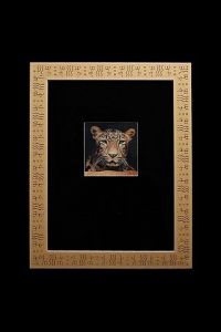 Photo de Elyan Vadel-Costa: qui sommes-nous?