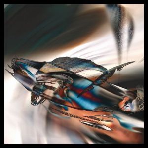 Art_numerique de Renee BRACHET: Schuit