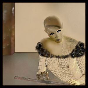 Art_numerique de Renee BRACHET: La Règle de l'Art