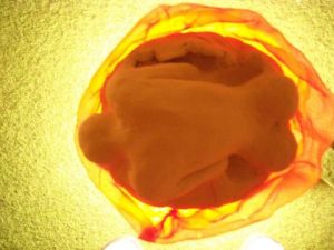 Sculpture de sandre: l'oeuf