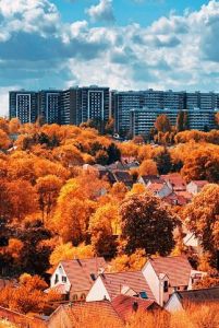 Photo de Elyan Vadel-Costa: Les sociologies