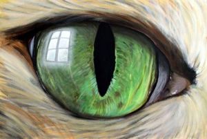 Peinture de Arnaud Griselin: L'Oeil du Chat