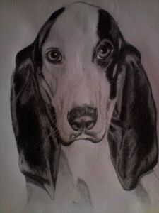 Dessin de ESQUISSES PHOTOS: ROSA