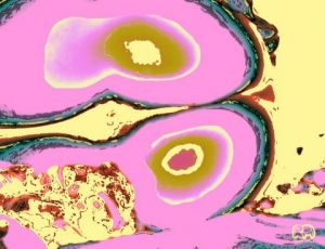 Art_numerique de Richard Miossec: Nacita