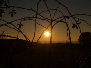 Photo de olympia: Coucher de soleil