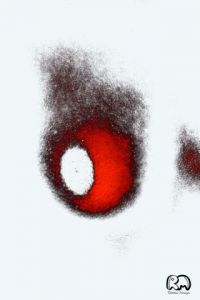 Art_numerique de Richard Miossec: Sein