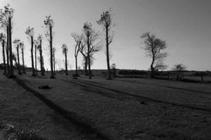 Photo de Gregory Jamsin: Tardinghen (France)