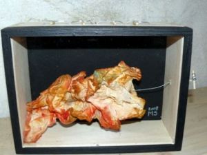 Oeuvre de miriam stern: papier jeté