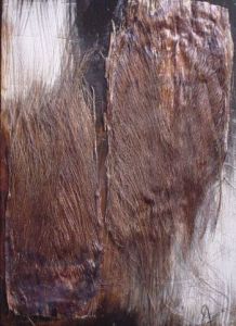 Collage de FORNS Robert: SANS TITRE