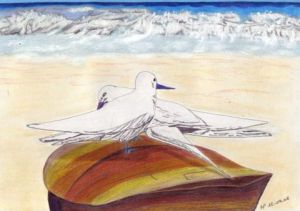 Oeuvre de Chtipat: Couple de sternes blanches des Seychelles