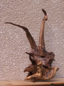 Sculpture de TSUKKAS: Nautilus