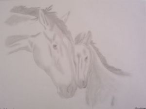 Dessin de artsandrine: Jument et son poulain