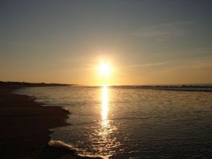 Photo de ROne: ile de ré