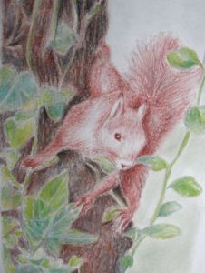 Dessin de mng: caché