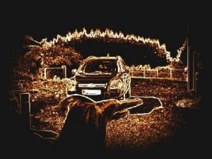 Photo de malepere: dans la paume de ma main n°2