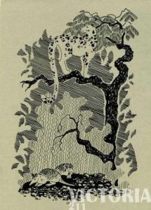 Dessin de Victoria: Se sont mis d'où les tatous