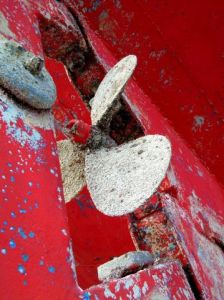 Photo de Didier LORENTZ: Hélice rongée