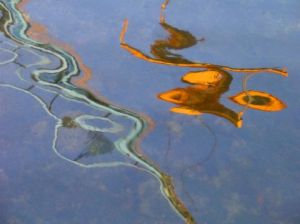 Photo de Didier LORENTZ: Reflets