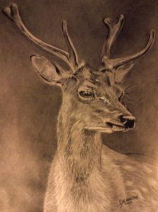 Dessin de ESQUISSES PHOTOS: Cerf