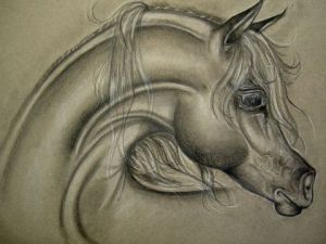 Dessin de sarah: plaisir