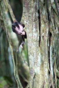 Photo de Hugues: Murs Murs du Monde 120