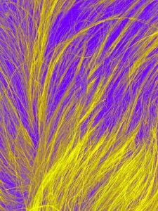 Art_numerique de raymond la motte: LIGNES