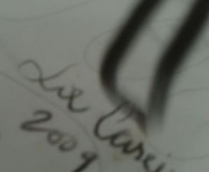 Dessin de Lie Caseiro or  natalicaseir