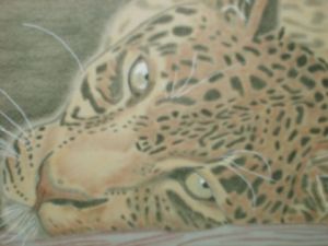 Dessin de elisabeth rouzaire: tendre regard de panthère