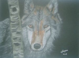 Dessin de elisabeth rouzaire: loup