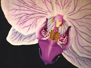 Peinture de Lux: Ciber Orchid
