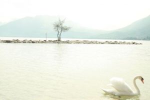 Photo de Jean-Luc Godon: Pureté naturel apaisante.