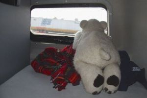 Photo de FABIO SKULL: Tôt le matin - Early in the morning