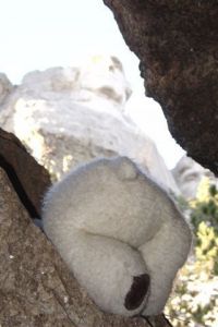 Photo de FABIO SKULL: En montagne - In the mountains