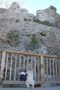 Photo de FABIO SKULL: Derrière la barrière - Behind the fence