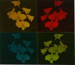 Oeuvre de lionel-c: orchids