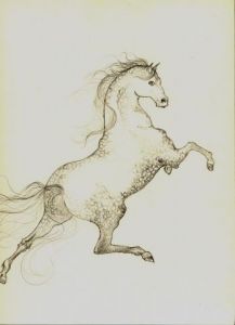 Dessin de Claudine Friant: Fougue