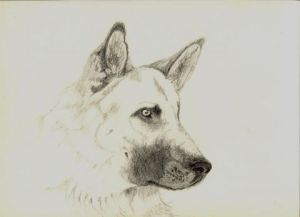 Dessin de Claudine Friant