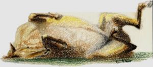 Dessin de Claudine Friant: Cheval