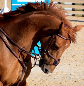 Photo de Otelinda: Broken Heart