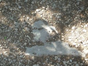 Photo de ALIOXIS: L ANGE DE PIERRE