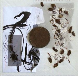 Collage de Loba: Série 2