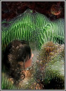 Photo de Stefano Stenzo: Speranza