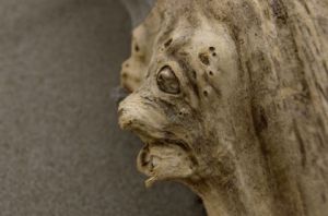 Photo de Paul BENICHOU: Arbre aux personnages    Hors du temps